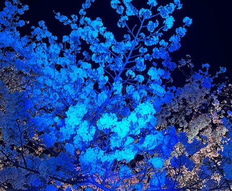 看護師さん看護学生さんの悩みに乗ります 誰にも言えない悩み、聞かせてください（看護学生・看護師向け） イメージ1