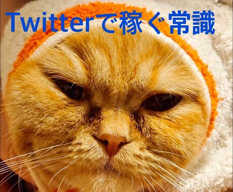 ながら作業　Twitterマネタイズ伝授します 商品の内容が不安な方へ1000円でお試し販売中 7月末まで イメージ1