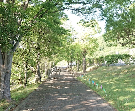 大阪府限定: お墓参り・簡易清掃の代行をいたします あなたに代わって。大切なご先祖様へ、心を込めて。 イメージ2