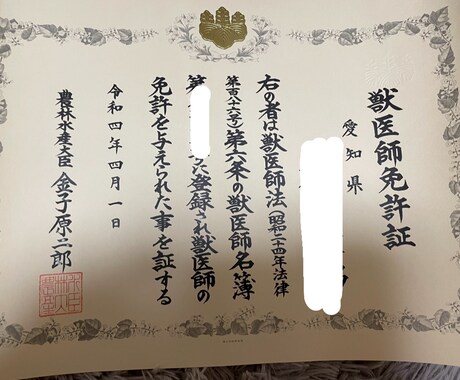 夜間の不安に！今すぐ病院？を現役獣医師が整理します 夜に突然気になる症状が出て不安な飼い主様へ イメージ2