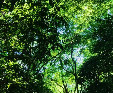 メンヘラが心理相談承ります 病んでる人じゃないとわからないことありますもんね。 イメージ1