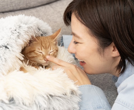 ペットヒーリングをさせていただきます ペットはもちろん、飼い主様にも寄り添う、誠実なサービスです イメージ1