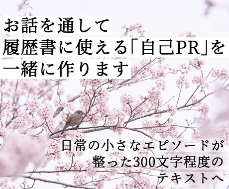 お話を通して履歴書に使える自己PRを一緒に作ります イメージ1