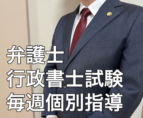 弁護士が行政書士試験合格まで毎週個別指導します 行政書士試験合格経験のある現役弁護士が丁寧に個別指導！ イメージ1