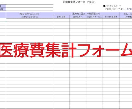 FPが医療費控除明細書(集計フォーム)を作成します 確定申告の医療費集計フォーム(EXCELファイル)作成を代行 イメージ1