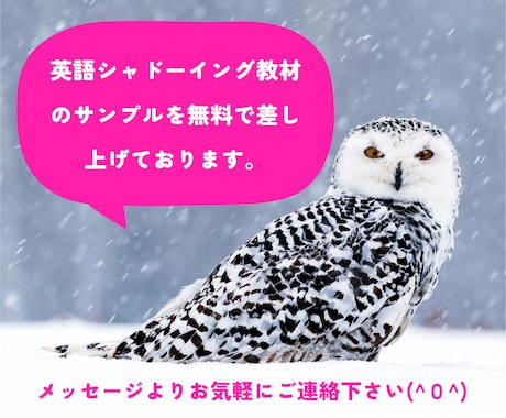YouTubeを活用した英語学習教材☘️作ります 実践的な英語力を身につけたい方に最適です♪ イメージ1