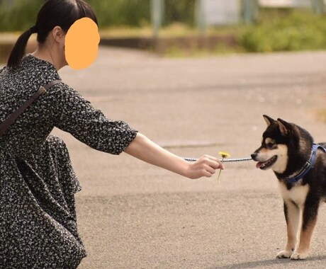 写真をイラストに！素敵なワンシーンを作ります あなたの特別な写真、ペットの写真をイラストにします！ イメージ2