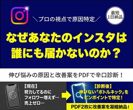 辛口診断！インスタ伸び悩みの改善案をお渡しします プロが「なぜ成果が出ないか」を分析。診断＋改善案PDF2枚 イメージ1