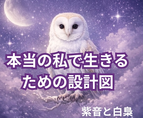 四柱推命で人生の設計図　本質・才能・運命鑑定します 先着５名様限定価格　幸せへ導くあなただけの設計図です イメージ1
