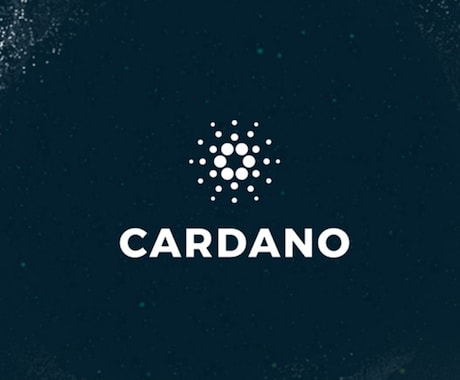 Cardanoプロデューサーノードを構築代行します あなた自身のカルダノブロックチェーンノードが手に入る！ イメージ1