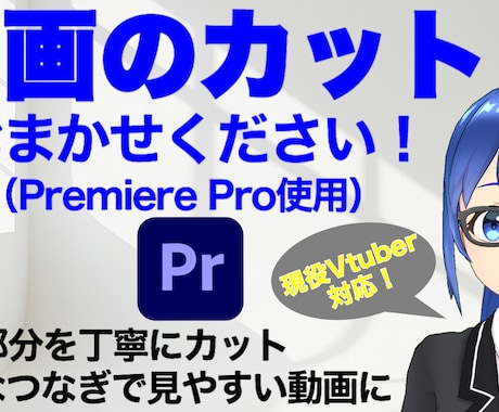 面倒な動画のカット作業を承ります 【YouTubeやSNS動画に最適】カット作業お任せください イメージ1