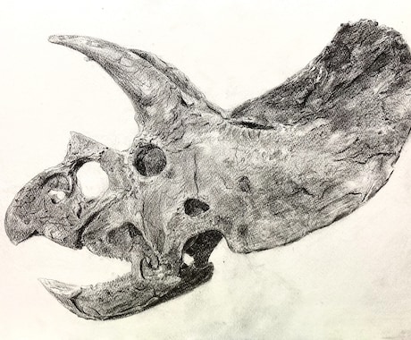 鉛筆デッサンの＋αアドバイスします 鉛筆の削り方から影の付け方まで基礎画力向上に！ イメージ2