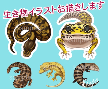 動物のイラストを描かせていただきます 爬虫類、両生類、哺乳類、鳥類、虫、海洋生物など イメージ1