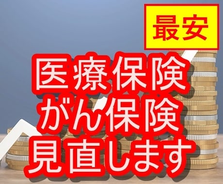 最安！現役FPが医療保険・がん保険を見直します 医療保険を見直して、毎月の支出を大幅カット！ イメージ1