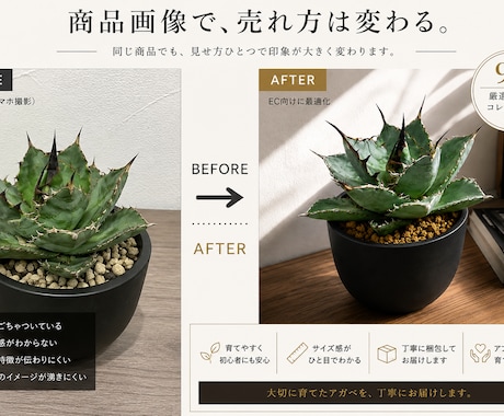 AIを活用してEC商品画像を制作しますます 楽天・Amazon・BASE等対応 イメージ2