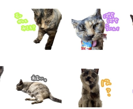 我が家のかわいいLINEスタンプ作成します 画像を使用してLINEスタンプ作成します！！！ イメージ2