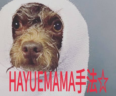 祝☆5周年☆シンプルHAYUEMAMA手法☆ます シンプルに楽しく一緒にバイナリーやりましょう！！ イメージ2