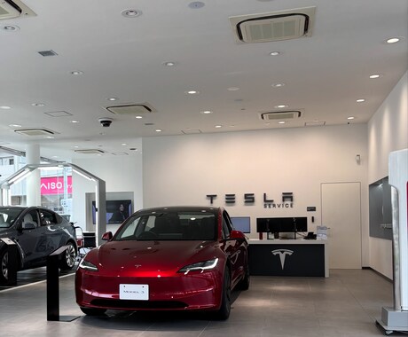 EV車テスラ購入について相談にのります EV車テスラの購入に迷っているあなた？なんでも聞いてください イメージ1