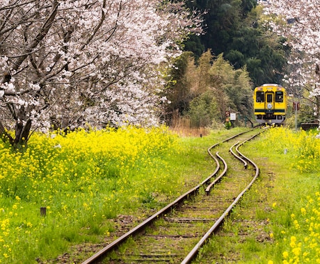出張撮影します 関東どこでもフッ軽撮影行ってきます！ イメージ1
