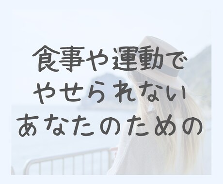 人生最後のダイエットを取説とチャットで教えます 話すより文章で知りたい方向け、人生最後のダイエットサポート イメージ2
