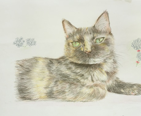 あなたの大切な猫ちゃんのイラストを描きます やさしい繊細な画風でねこちゃんのイラストをお届けします！ イメージ1