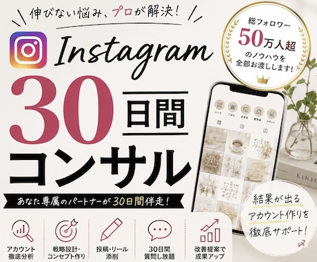 インスタ30日間コンサルします 伸びない悩みを解決します！！！ イメージ1