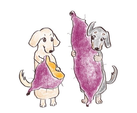 ほっこりする動物イラストをお届けします お写真などからご要望に合わせて制作させていただきます イメージ2