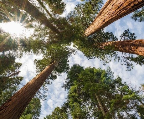 相談事、悩み事を全て良い方向に持っていきます 私もたくさんのことを経験してきたのでない相談相手になれます！ イメージ1