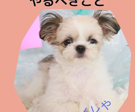 完全丸投げもOK！電子書籍出版代行します 面倒な作業を丸投げ！らくらくKindle出版代行サービス イメージ2
