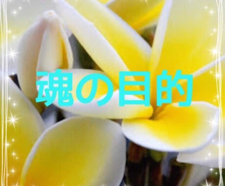 魂の目的をお伝えします これからの人生を生きやすくするために。 イメージ1