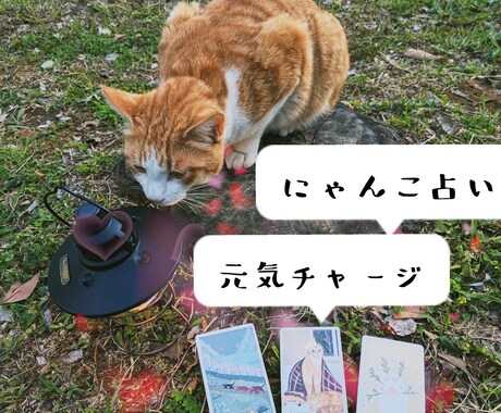 にゃんこが占いで落ち込んだあなたを励まします にゃんこの癒しとタロットで、心に元気を イメージ1