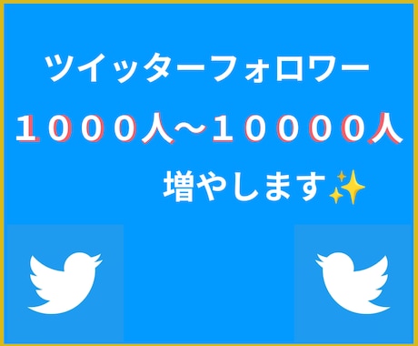Twitterフォロワー100人✨増加✨させます 貴方のSNSを強化して楽しもう！ イメージ1