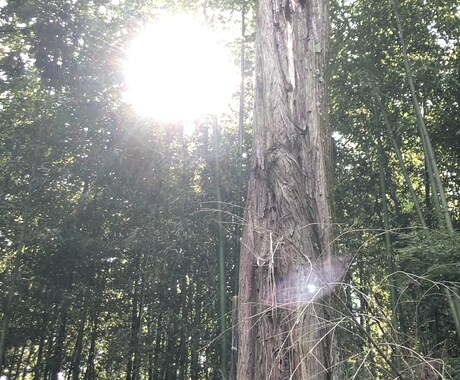 あなたのエネルギーをリーディングします 必要なメッセージをガイドを通してお伝えしていきます。 イメージ1