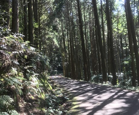 適職才能貴方に合う仕事をタロット四柱推命で占います 今の仕事は私にあっているだろうか？私に会う仕事は？ イメージ1
