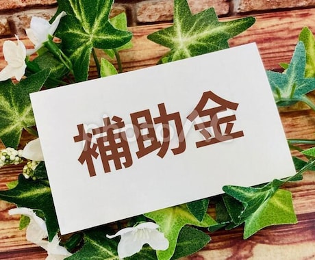 プロが指南！採択される事業計画書作成お手伝いします 補助金コンサル歴5年。各補助金採択実績多数。 イメージ1