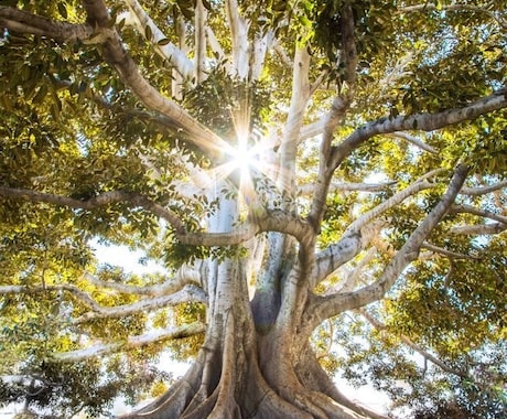 霊視で仕事運の停滞をなくし、人生好転へ導きます 職場やキャリアでの悩みに伴走し、一緒に解決の道を探します イメージ2