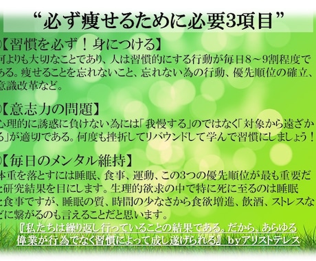 心理的に習慣をつけ大幅減量した自身体験教えます 実際に痩せ方を取得すると太っていたときの理由づけでき維持する イメージ2