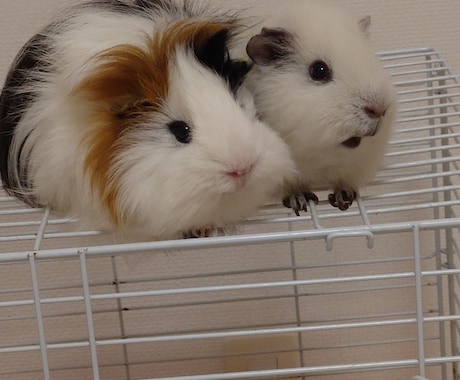 心理学×お金の相談室開催します 値下げ交渉・節約・副収入の不安を解決します。 イメージ2