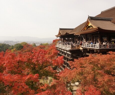 終わった旅、これからの旅の話聞きます 旅行経験豊富!旅の話で盛り上がりましょう! イメージ1