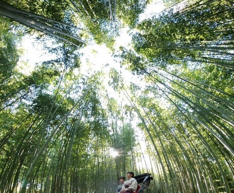 なんでも聞きます 愚痴、悩み、相談、世間話、なんでもいいですよ イメージ2
