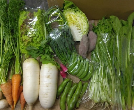 通年自然栽培の野菜を販売している農家が教えます 子育て自然栽培農家が土を見ながら自然栽培の悩みを解決 イメージ2