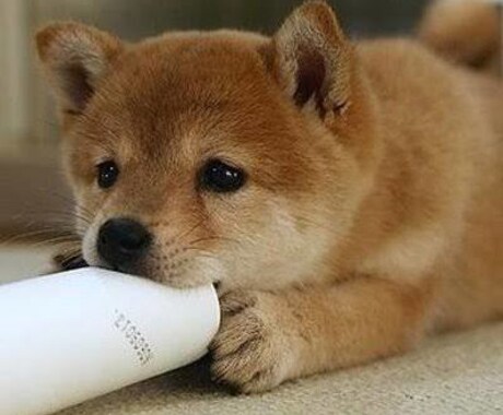 悩むならまず相談してください。人生相談承ります 仕事、恋、人生につかれるな。楽しくやりましょう。 イメージ1