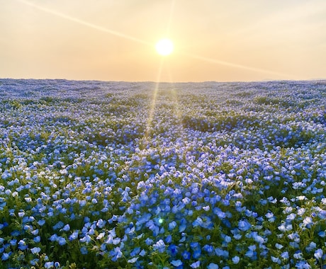 今すぐ話したい方へ♡あなたの話し相手になります 雑談｜愚痴｜ただ聞いてほしい｜誰かと繋がりたい｜何でもOK！ イメージ2