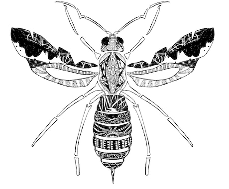 オシャレな昆虫、微生物のイラスト描きます オシャレでかっこいいモノクロのイラスト描きます イメージ1