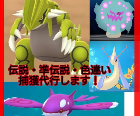 ポケモン伝説・準伝説の捕獲を代行します ランクマなどで使いたい珍しいポケモンをお渡しします！ イメージ1