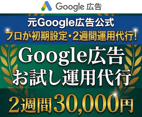 元Google公式が初期設定＋2週間運用代行します 【初回限定お試し】元公式コンサル６年超のプロがアカウント構築 イメージ1