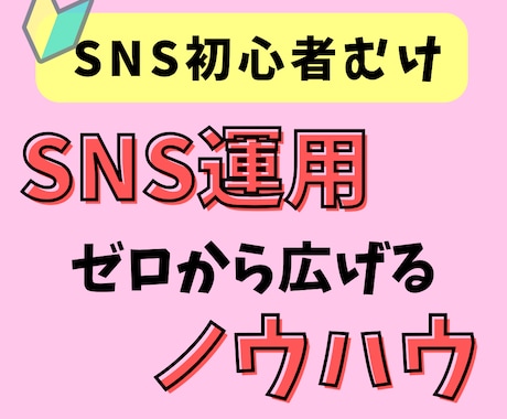 初心者向け最終手段！副業のためのSNS教えます SNSで拡散させてあなたの副業をさらにパワーアップ！ イメージ1