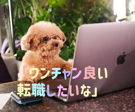 仕事辞めるべき？YESNOで占います 【リアル】どう行動すべきか占います【長文鑑定】 イメージ1
