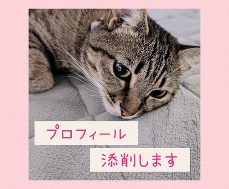 30代の女性目線でプロフィール添削します 一緒に魅力的なプロフィールを完成させましょう イメージ1