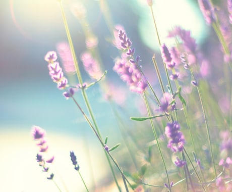 恋愛成就鑑定／これからのご縁を結びます ✿あの人の特別になる✿ 可能性/相性/時期/遠距離 イメージ2